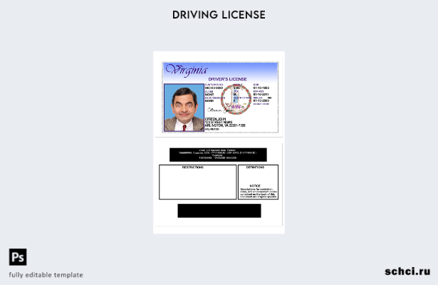 цифровая загрузка шаблона версии Virgina DL для США